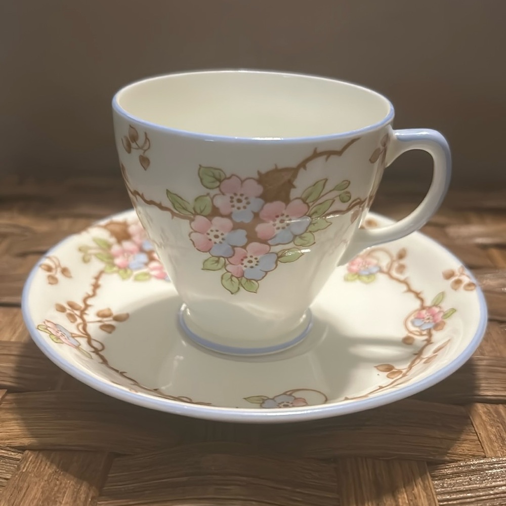 Rare Find! Vintage Old Royal Bone China teacup & saucer w/ pink & blue flowers.